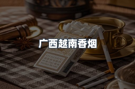 广西越南香烟